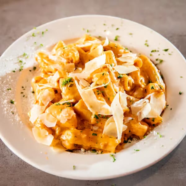 A plate of Rocco's Italian pasta with creamy orange sauce, shaved parmesan, and fresh herbs.